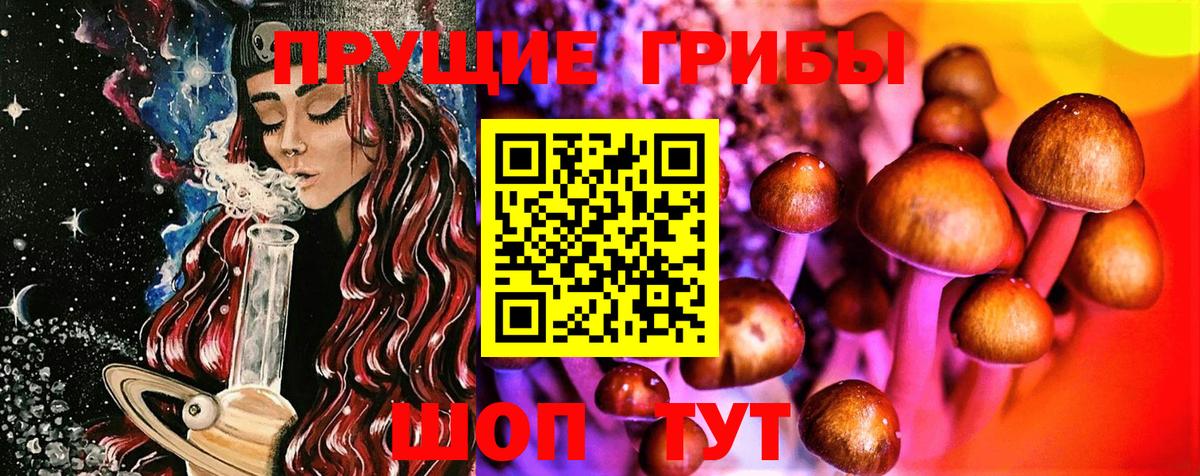 Псилоцибиновые грибы Psilocybe  Вход с VPN  магазин продажи наркотиков  Каменск-Шахтинский 