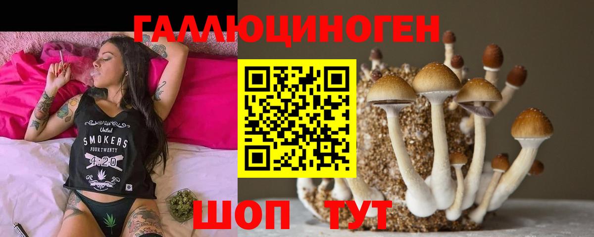 Псилоцибиновые грибы ЛСД Каменск-Шахтинский